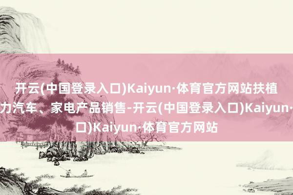 开云(中国登录入口)Kaiyun·体育官方网站扶植企业扩大新动力汽车、家电产品销售-开云(中国登录入口)Kaiyun·体育官方网站