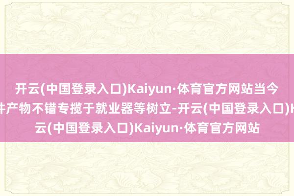 开云(中国登录入口)Kaiyun·体育官方网站当今公司分娩的电源线组件产物不错专揽于就业器等树立-开云(中国登录入口)Kaiyun·体育官方网站