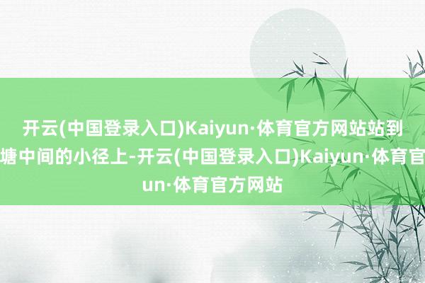 开云(中国登录入口)Kaiyun·体育官方网站站到两片荷塘中间的小径上-开云(中国登录入口)Kaiyun·体育官方网站