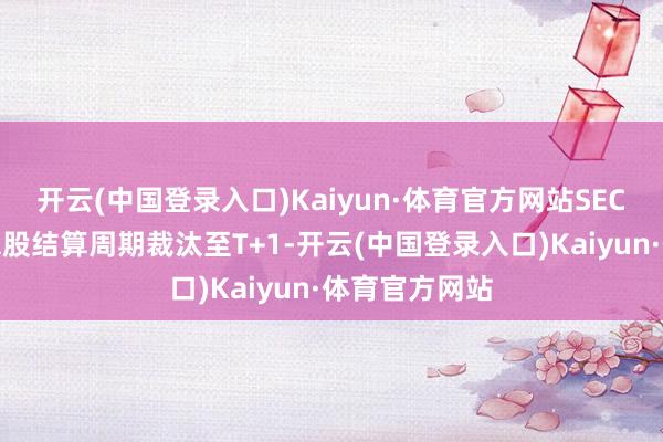 开云(中国登录入口)Kaiyun·体育官方网站SEC决定将好意思股结算周期裁汰至T+1-开云(中国登录入口)Kaiyun·体育官方网站