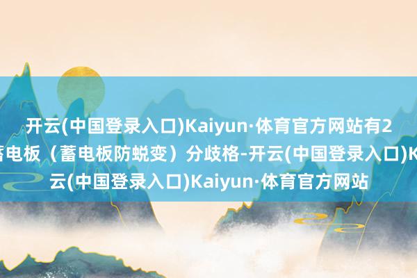 开云(中国登录入口)Kaiyun·体育官方网站有25批次居品充电器与蓄电板（蓄电板防蜕变）分歧格-开云(中国登录入口)Kaiyun·体育官方网站