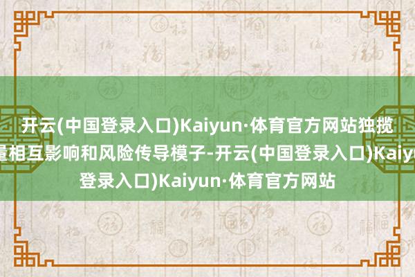 开云(中国登录入口)Kaiyun·体育官方网站独揽最新两个联系变量相互影响和风险传导模子-开云(中国登录入口)Kaiyun·体育官方网站