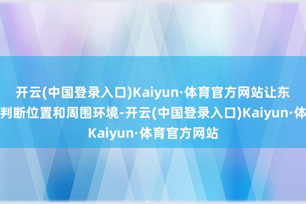 开云(中国登录入口)Kaiyun·体育官方网站让东说念主难以判断位置和周围环境-开云(中国登录入口)Kaiyun·体育官方网站