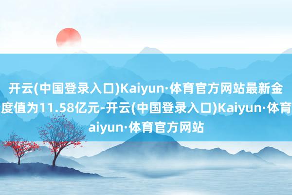 开云(中国登录入口)Kaiyun·体育官方网站最新金钱净值揣度值为11.58亿元-开云(中国登录入口)Kaiyun·体育官方网站