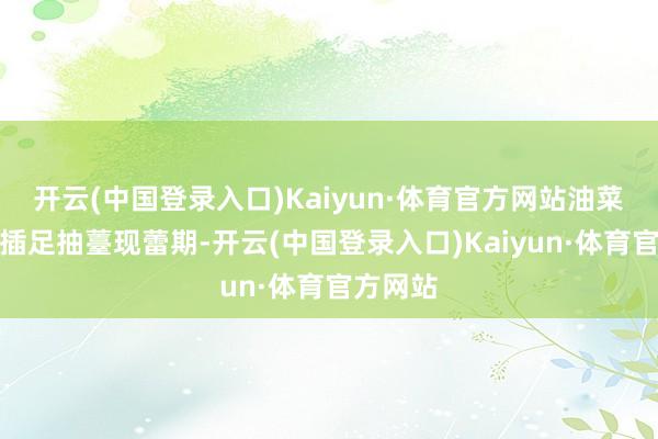 开云(中国登录入口)Kaiyun·体育官方网站油菜正陆续插足抽薹现蕾期-开云(中国登录入口)Kaiyun·体育官方网站